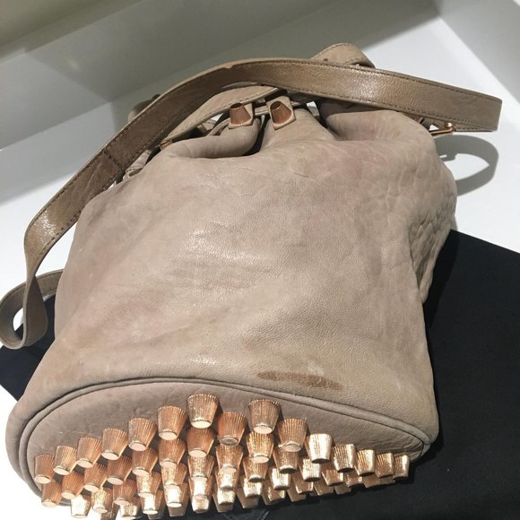 Alexander Wang Diego bag in beige and rosegold hardware - Picture 5 of 6